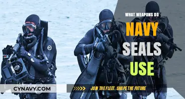Elite Arsenal: Unveiling the Weapons of Navy SEALs