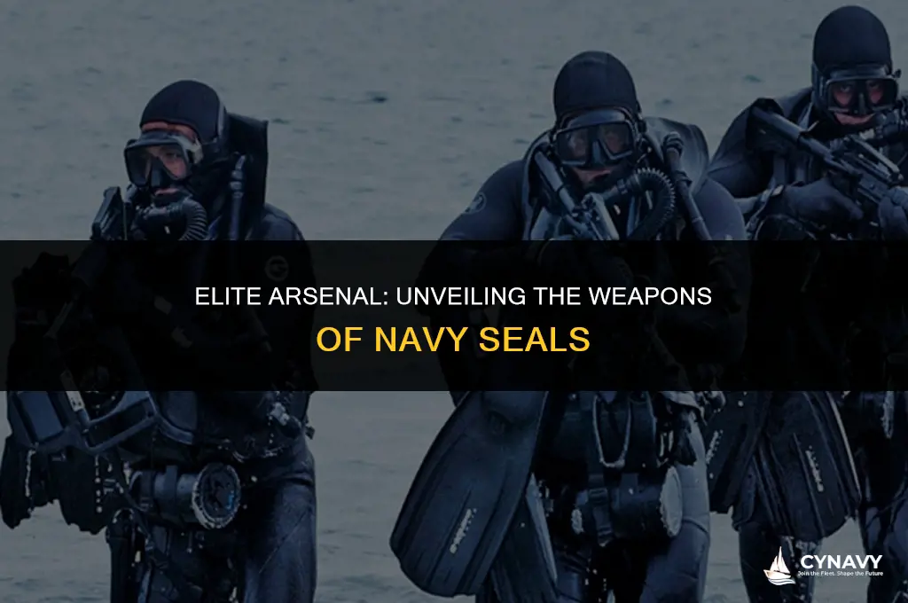 what weapons do navy seals use