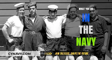 Serving at Sea: A Day in the Life of a Navy Sailor