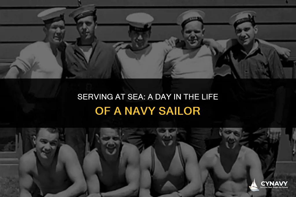 what you do in the navy