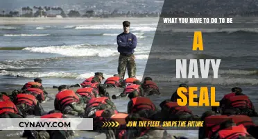 Path to Valor: Steps to Becoming a Navy SEAL