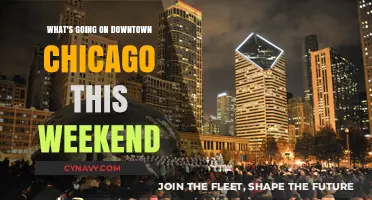 Discover Downtown Chicago: Weekend Events & Activities Guide