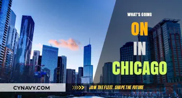 Exploring the Windy City: A Snapshot of Chicago's Current Scene