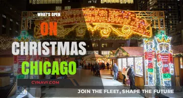 Chicago Christmas Guide: Top Spots Open on the 25th