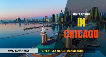 Unveiling Chicago's Newest Attractions: A Guide to What's Opening