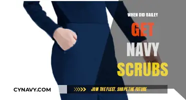 Bailey's Navy Scrubs: A Grey's Anatomy Wardrobe Evolution Explained