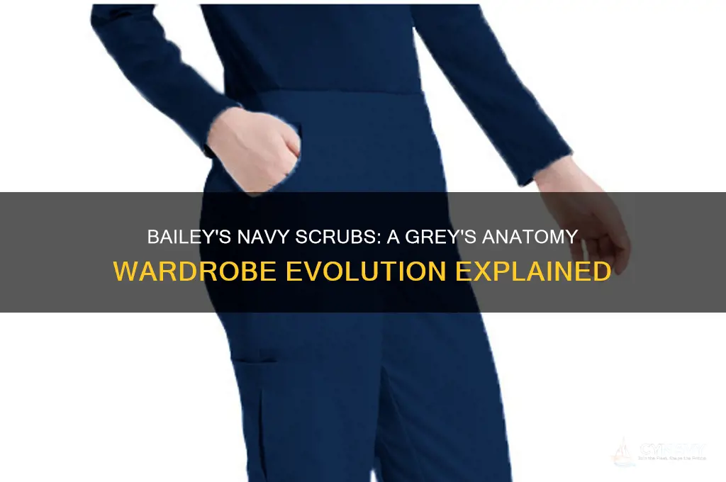 when did bailey get navy scrubs