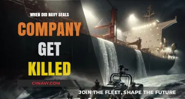 Tragic Loss: The Day Navy SEALs Company Faced Deadly Mission