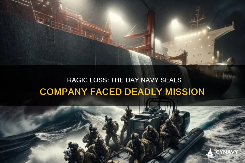 when did navy seals company get killed