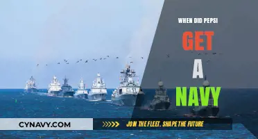 Pepsi's Naval Fleet: The Surprising Story Behind Its Maritime Power