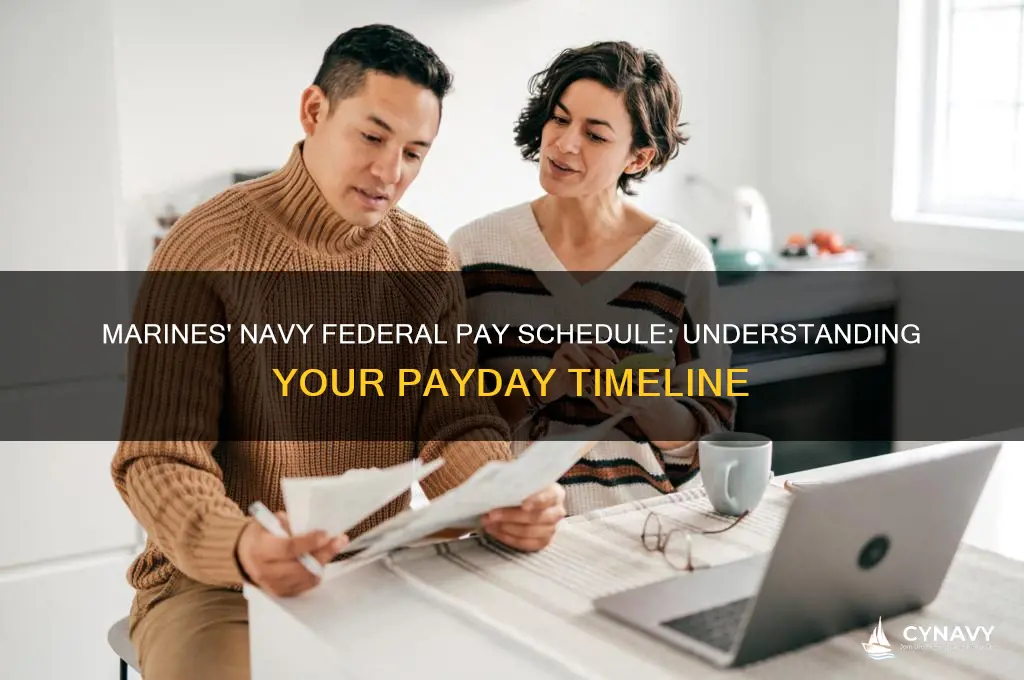 when do marines with navy federal get paid