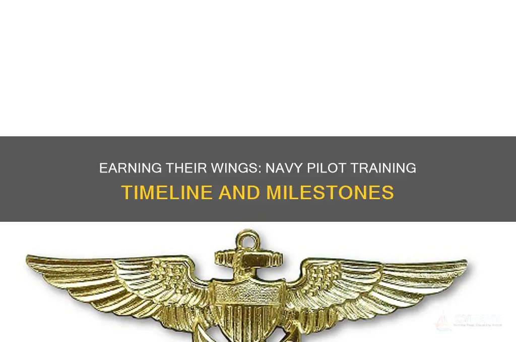 when do navy pilots get their wings