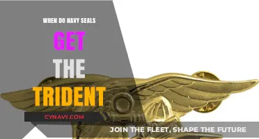 Earning the Trident: Navy SEALs' Journey to Becoming Elite Warriors