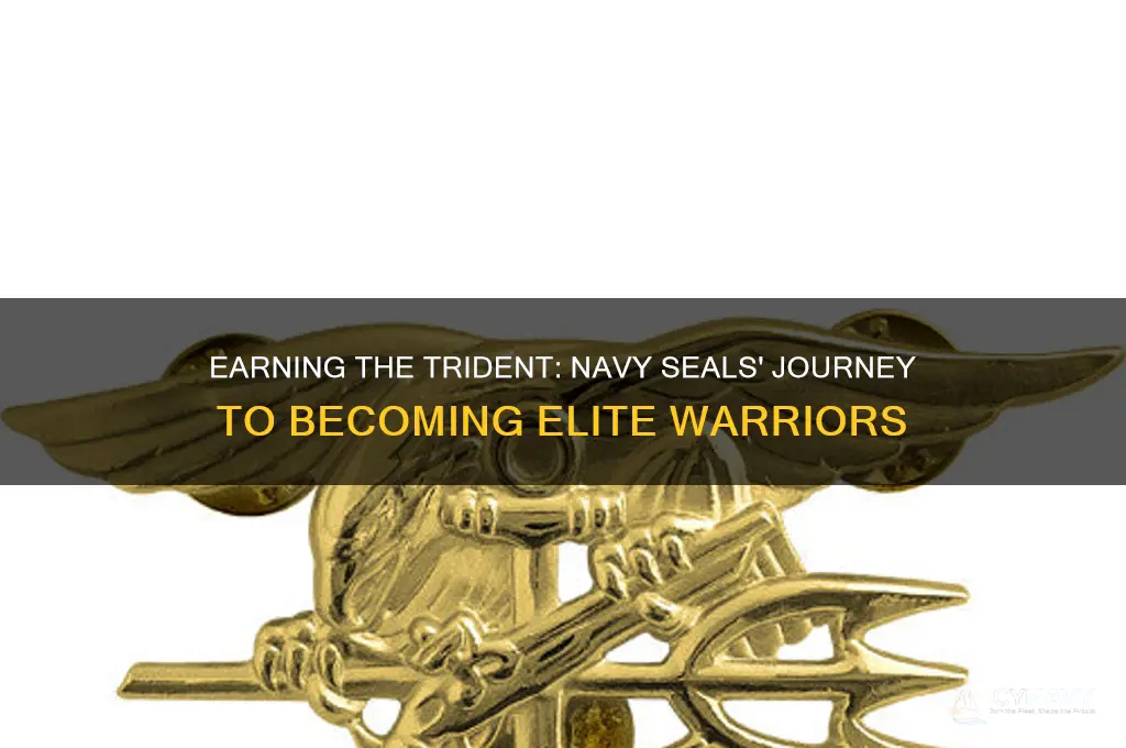 when do navy seals get the trident