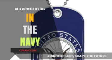 Navy Dog Tags: When and How Sailors Receive Their Identification