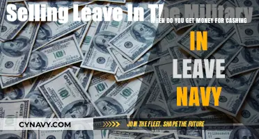 Navy Leave Cash-In: When and How to Receive Your Payout