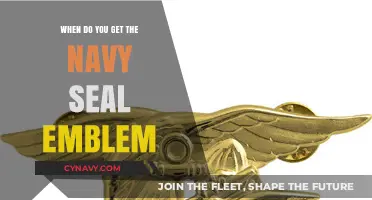 Earning the Navy SEAL Trident: A Symbol of Elite Achievement