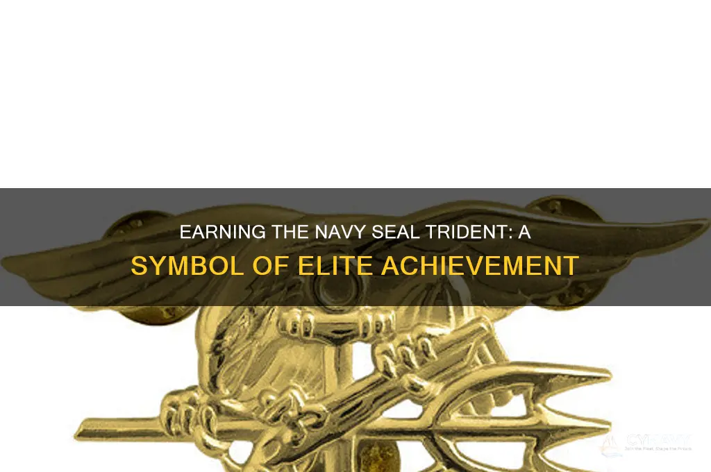 when do you get the navy seal emblem