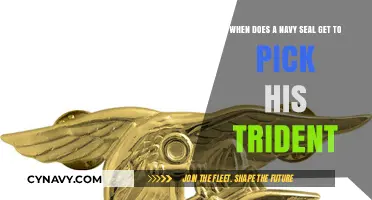 Earning the Trident: When Navy SEALs Claim Their Iconic Insignia