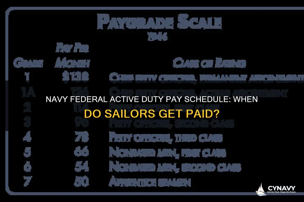 when does active duty navy fed get paid