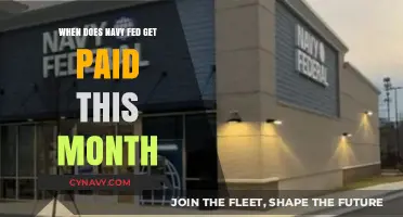 Navy Federal Pay Schedule: When to Expect Your Deposit This Month