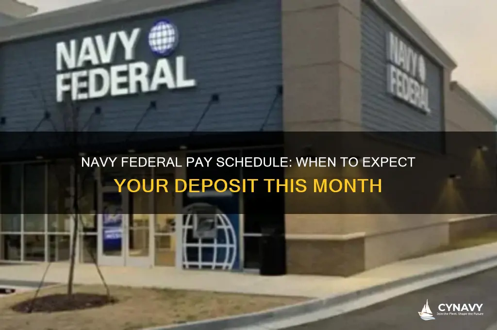 when does navy fed get paid this month