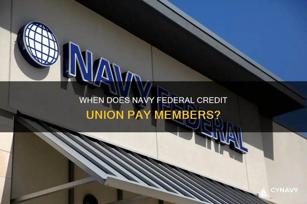 when does navy fed get paid