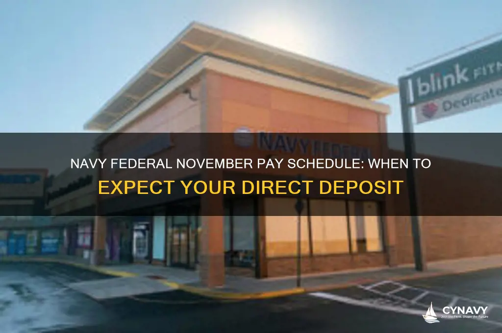 when does navy federal get paid november