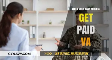 Navy Federal VA Disability Pay Schedule: When to Expect Your Funds
