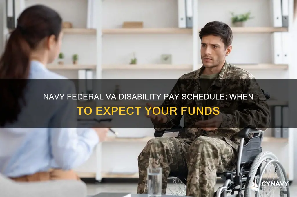 when does navy federal get paid va