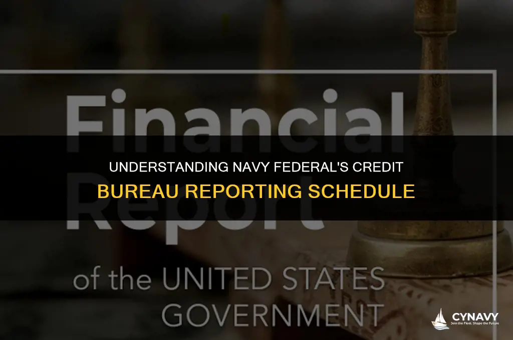 when does navy federal report to credit bureaus