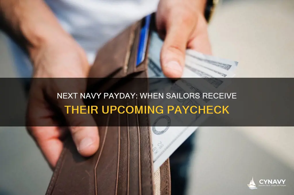 when does navy get paid next