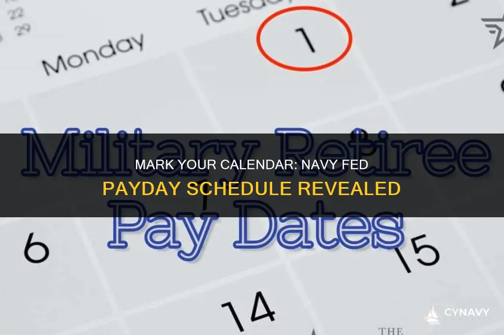 when is navy fed pay day