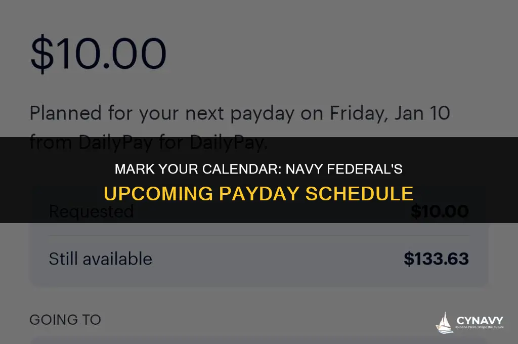 when is navy federal next payday