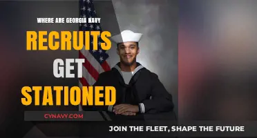 Georgia Navy Recruits' Stationing: Locations and Assignments Explained
