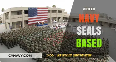Where Are Navy SEALs Based: A Comprehensive Guide to Their Global Presence