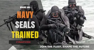Elite Warriors Forged: Inside the Navy SEALs' Training Grounds