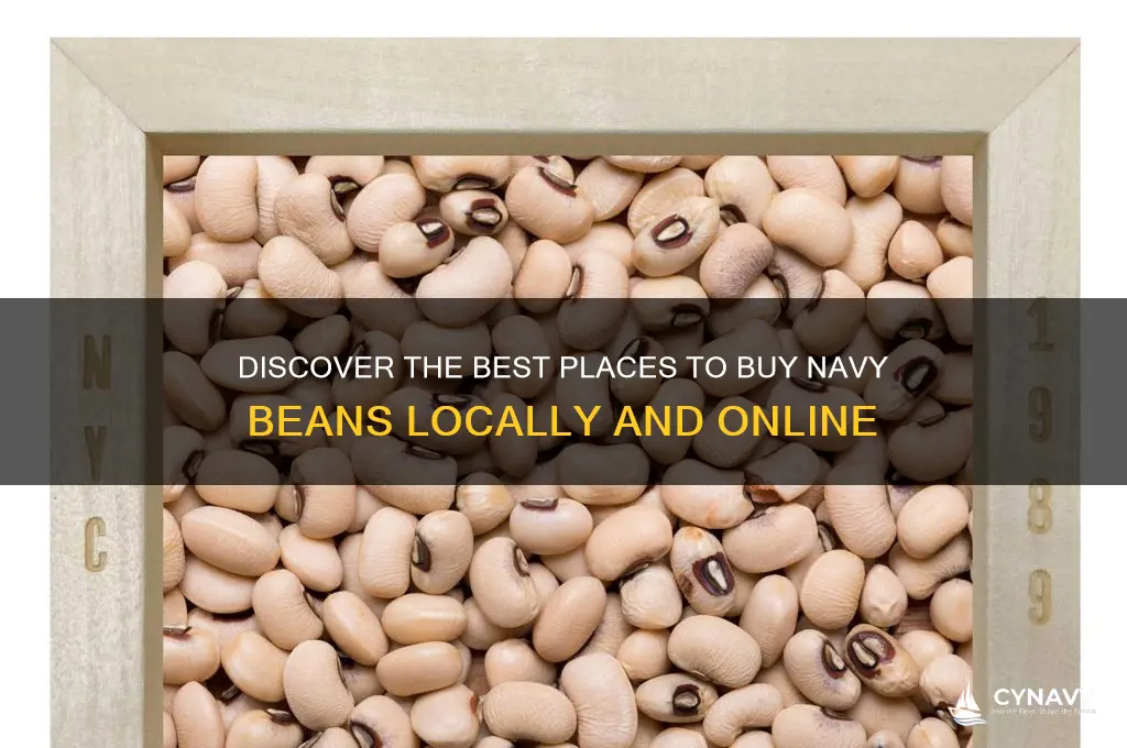 where can i get navy beans