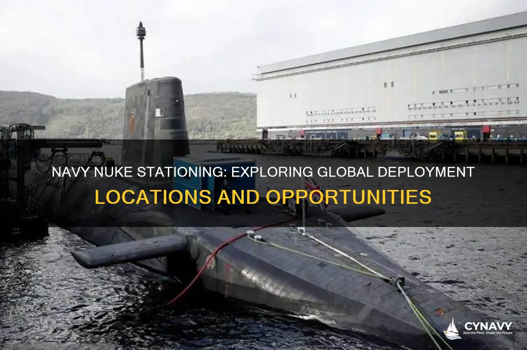 where can you get stationed as a navy nuke