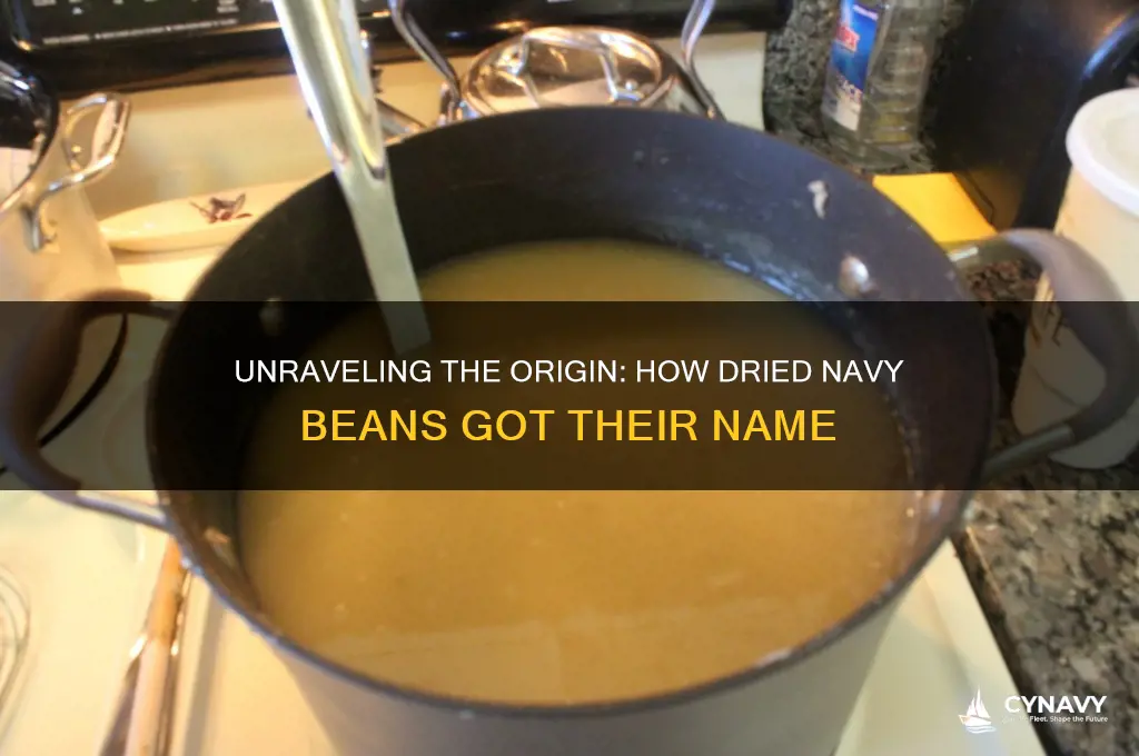 where did dried navy beans get their name