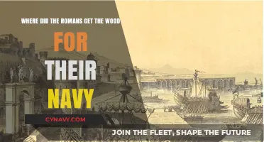 Roman Naval Timber: Sources of Wood for Ancient Fleet Construction