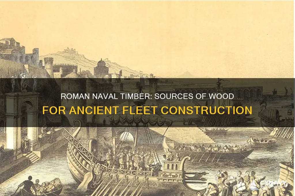 where did the romans get the wood for their navy