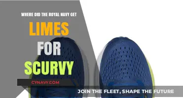 How the Royal Navy Sourced Limes to Combat Scurvy