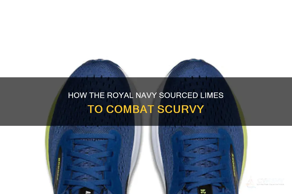 where did the royal navy get limes for scurvy