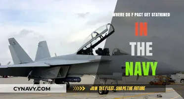 Where Do F/A-18 Super Hornets Get Stationed in the Navy?
