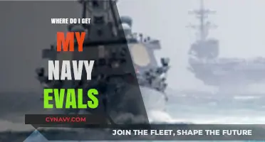 Where to Access and Understand Your Navy Evaluations: A Guide