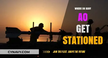 Where Do Navy AOs Get Stationed? Exploring Duty Locations and Assignments