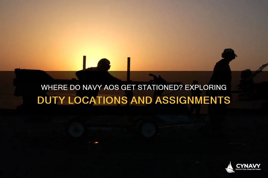 where do navy ao get stationed