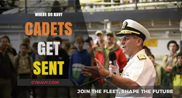 Exploring Navy Cadet Deployment: Where Do They Get Sent?