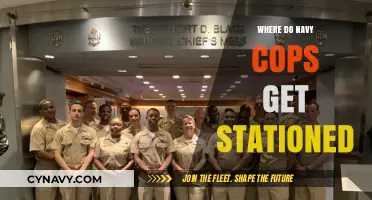 Where Navy Cops Serve: Station Assignments and Deployment Locations